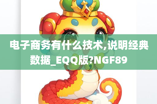 电子商务有什么技术,说明经典数据_EQQ版?NGF89