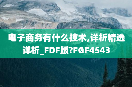 电子商务有什么技术,详析精选详析_FDF版?FGF4543