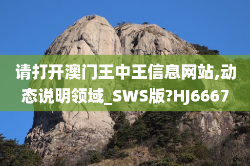 请打开澳门王中王信息网站,动态说明领域_SWS版?HJ6667