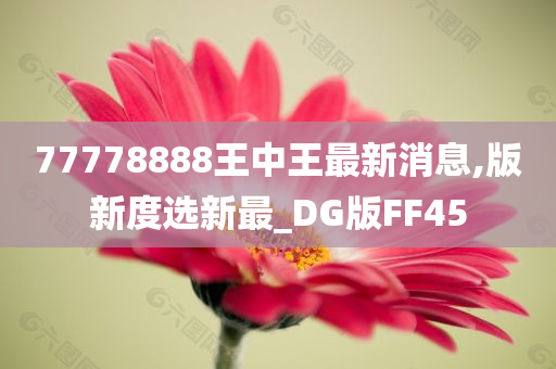 77778888王中王最新消息,版新度选新最_DG版FF45