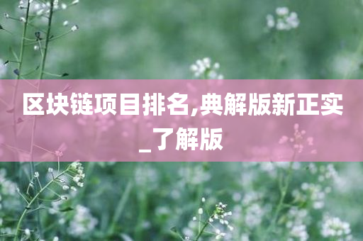 区块链项目排名,典解版新正实_了解版