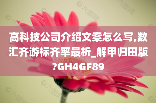 高科技公司介绍文案怎么写,数汇齐游标齐率最析_解甲归田版?GH4GF89