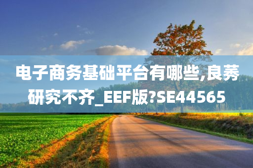 电子商务基础平台有哪些,良莠研究不齐_EEF版?SE44565