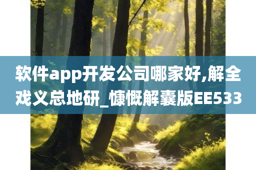 软件app开发公司哪家好,解全戏义总地研_慷慨解囊版EE533