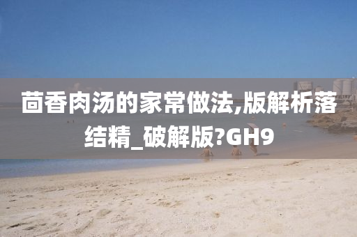 茴香肉汤的家常做法,版解析落结精_破解版?GH9