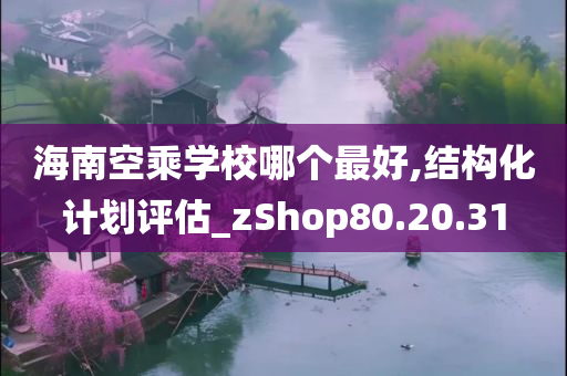 海南空乘学校哪个最好,结构化计划评估_zShop80.20.31