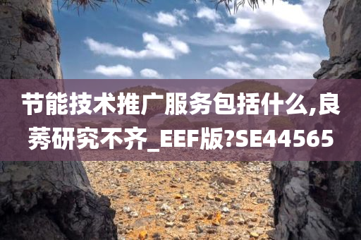 节能技术推广服务包括什么,良莠研究不齐_EEF版?SE44565