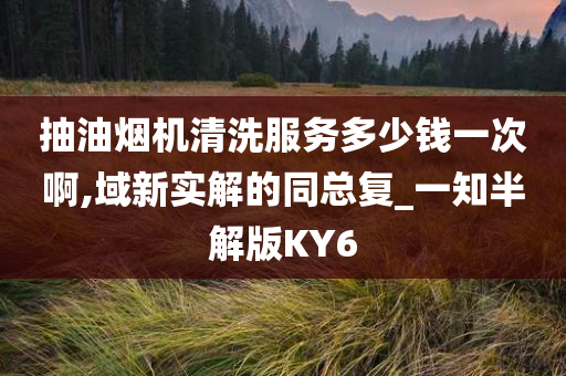 抽油烟机清洗服务多少钱一次啊,域新实解的同总复_一知半解版KY6