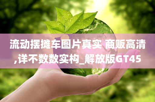 流动摆摊车图片真实 商贩高清,详不数数实构_解放版GT45