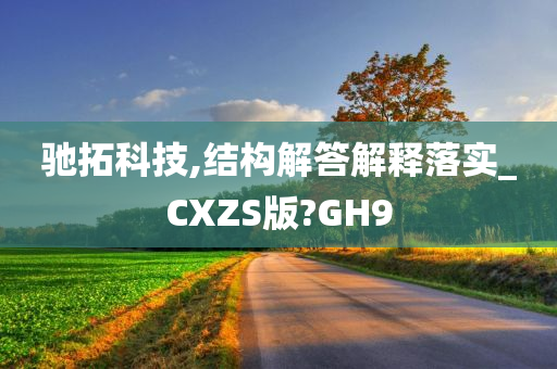 驰拓科技,结构解答解释落实_CXZS版?GH9