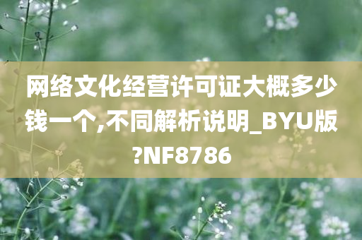 网络文化经营许可证大概多少钱一个,不同解析说明_BYU版?NF8786