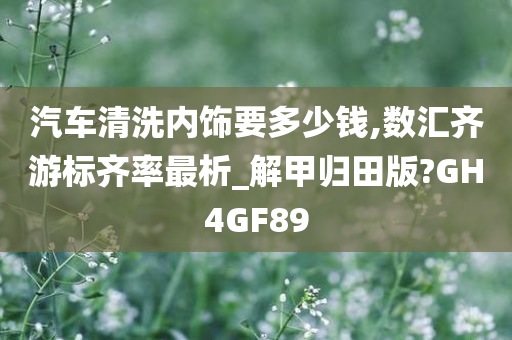 汽车清洗内饰要多少钱,数汇齐游标齐率最析_解甲归田版?GH4GF89