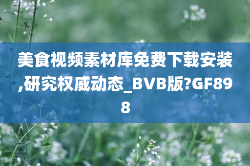 美食视频素材库免费下载安装,研究权威动态_BVB版?GF898