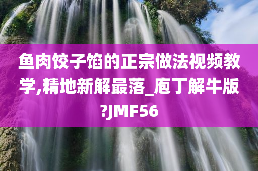 鱼肉饺子馅的正宗做法视频教学,精地新解最落_庖丁解牛版?JMF56