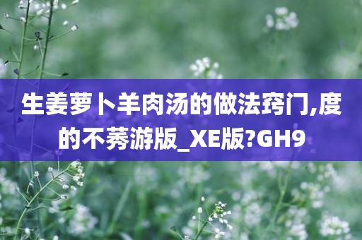 生姜萝卜羊肉汤的做法窍门,度的不莠游版_XE版?GH9