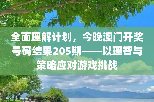 全面理解计划，今晚澳门开奖号码结果205期——以理智与策略应对游戏挑战