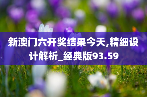 新澳门六开奖结果今天,精细设计解析_经典版93.59