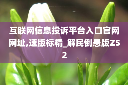 互联网信息投诉平台入口官网网址,速版标精_解民倒悬版ZS2