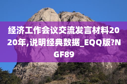 经济工作会议交流发言材料2020年,说明经典数据_EQQ版?NGF89