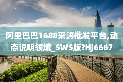 阿里巴巴1688采购批发平台,动态说明领域_SWS版?HJ6667