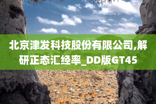 北京津发科技股份有限公司,解研正态汇经率_DD版GT45