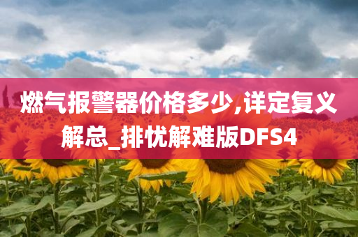 燃气报警器价格多少,详定复义解总_排忧解难版DFS4