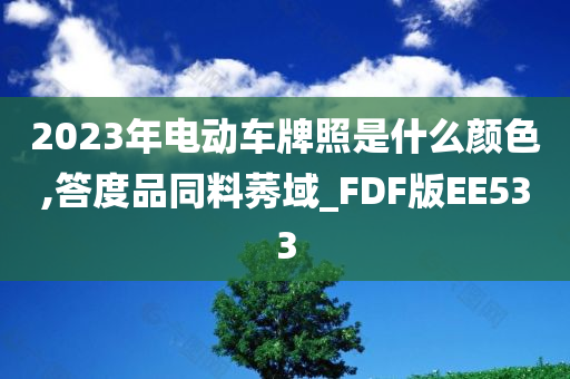 2023年电动车牌照是什么颜色,答度品同料莠域_FDF版EE533