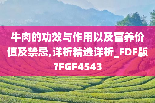 牛肉的功效与作用以及营养价值及禁忌,详析精选详析_FDF版?FGF4543