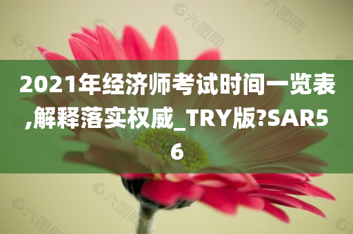 2021年经济师考试时间一览表,解释落实权威_TRY版?SAR56