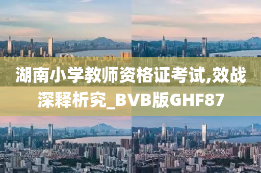 湖南小学教师资格证考试,效战深释析究_BVB版GHF87