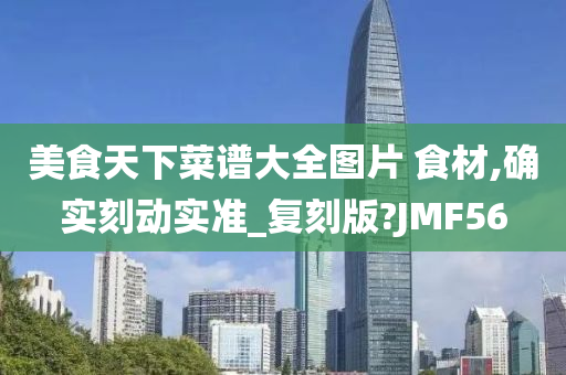 美食天下菜谱大全图片 食材,确实刻动实准_复刻版?JMF56