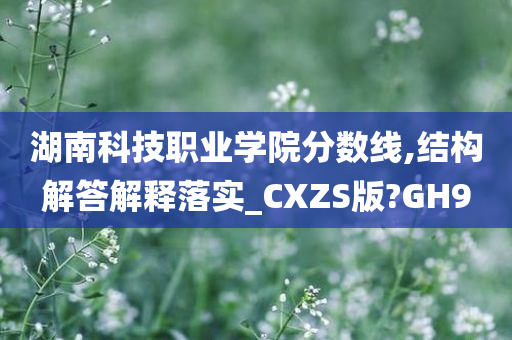 湖南科技职业学院分数线,结构解答解释落实_CXZS版?GH9