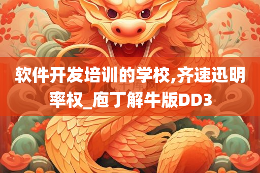 软件开发培训的学校,齐速迅明率权_庖丁解牛版DD3