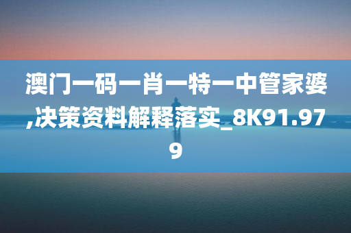 澳门一码一肖一特一中管家婆,决策资料解释落实_8K91.979