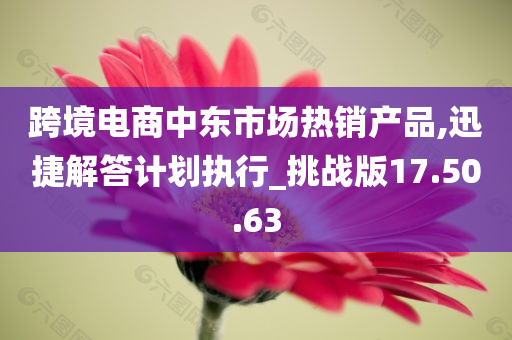 跨境电商中东市场热销产品,迅捷解答计划执行_挑战版17.50.63