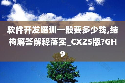 软件开发培训一般要多少钱,结构解答解释落实_CXZS版?GH9