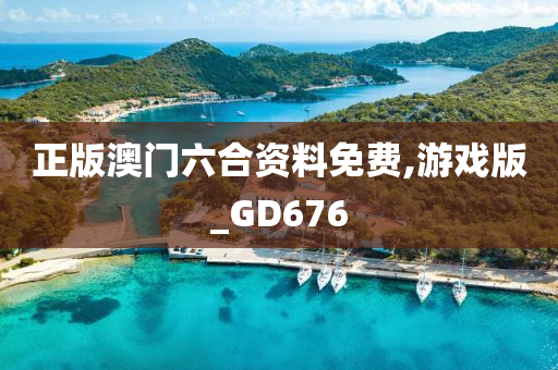 正版澳门六合资料免费,游戏版_GD676