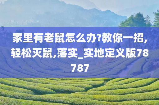 家里有老鼠怎么办?教你一招,轻松灭鼠,落实_实地定义版78787