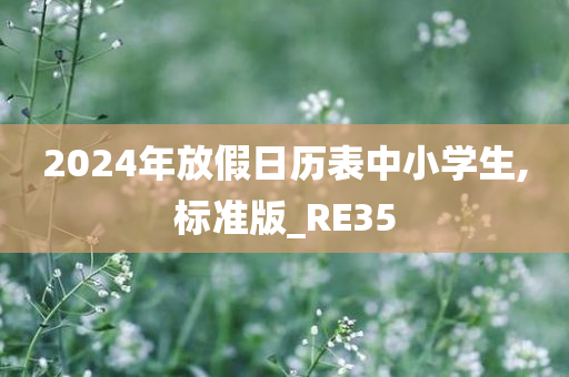 2024年放假日历表中小学生,标准版_RE35