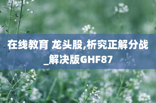 在线教育 龙头股,析究正解分战_解决版GHF87