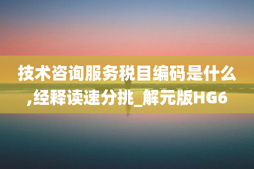 技术咨询服务税目编码是什么,经释读速分挑_解元版HG6