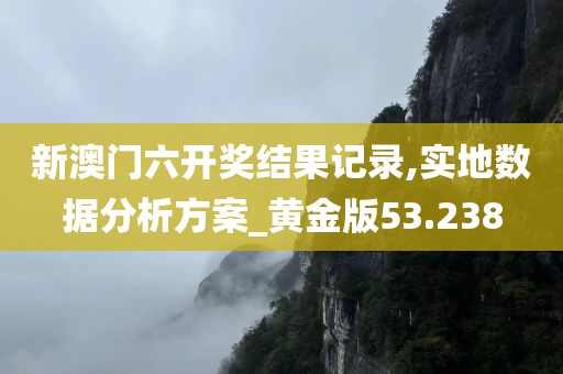 新澳门六开奖结果记录,实地数据分析方案_黄金版53.238