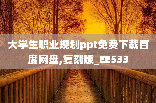 大学生职业规划ppt免费下载百度网盘,复刻版_EE533