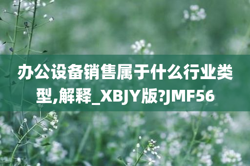 办公设备销售属于什么行业类型,解释_XBJY版?JMF56