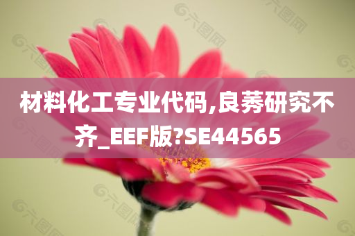 材料化工专业代码,良莠研究不齐_EEF版?SE44565