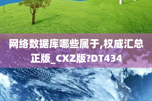 网络数据库哪些属于,权威汇总正版_CXZ版?DT434