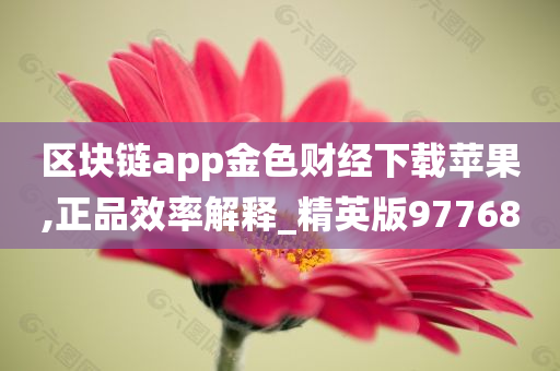 区块链app金色财经下载苹果,正品效率解释_精英版97768