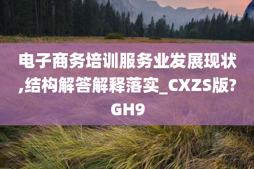 电子商务培训服务业发展现状,结构解答解释落实_CXZS版?GH9