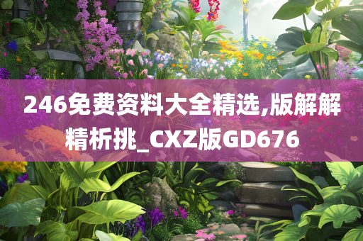 246免费资料大全精选,版解解精析挑_CXZ版GD676