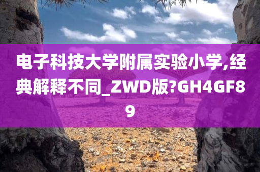 电子科技大学附属实验小学,经典解释不同_ZWD版?GH4GF89